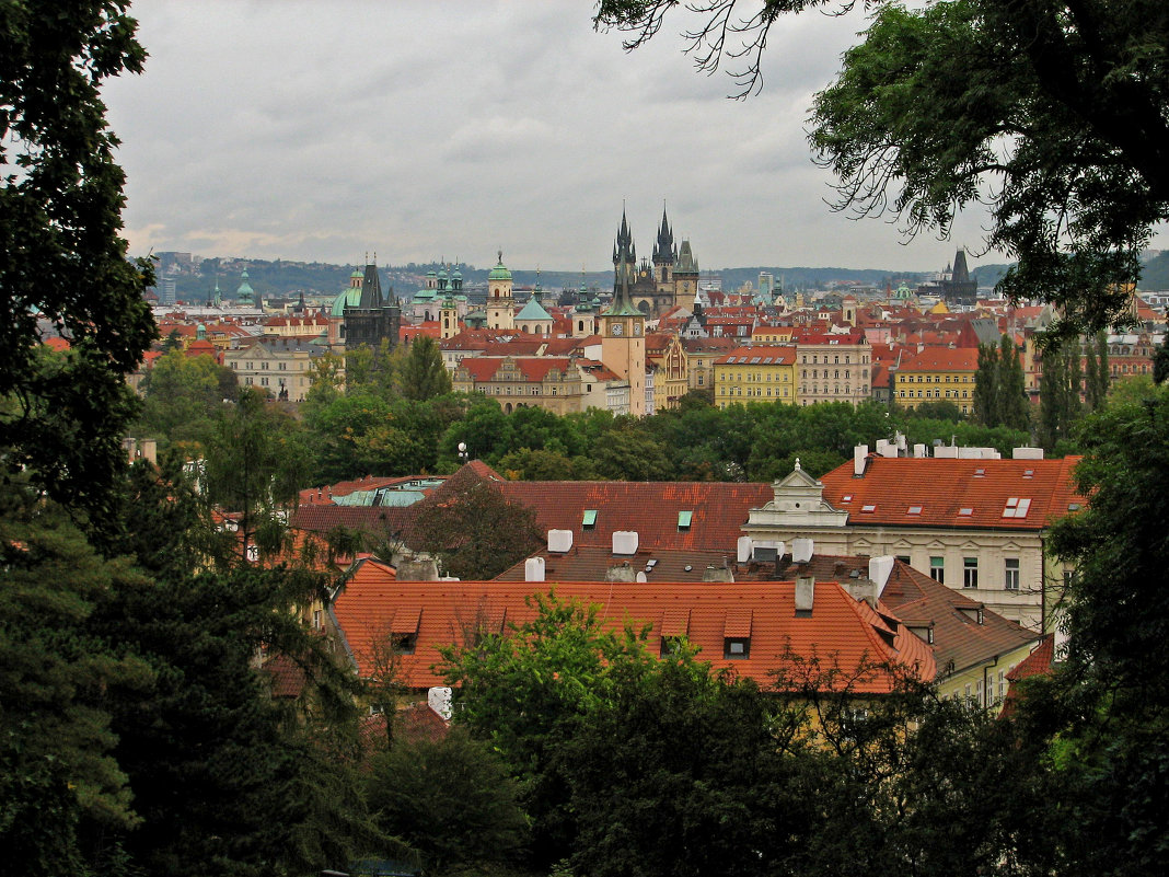 Прага - максим лыков