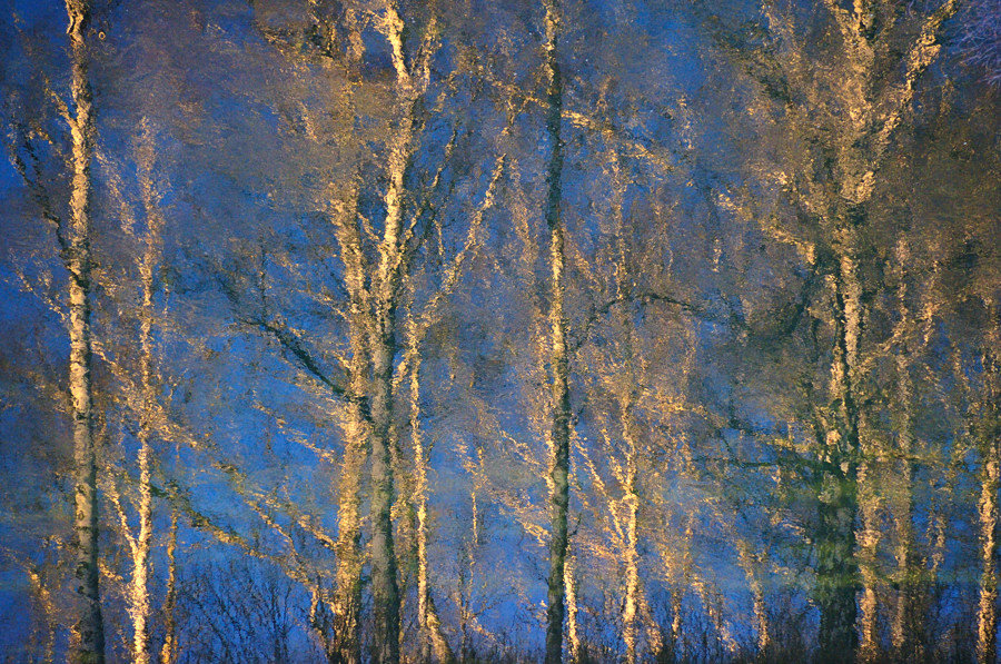 Осенне-синий этюд о текущей воде, вечернем солнце и ожидающем снега лесе - Владимир Захаров