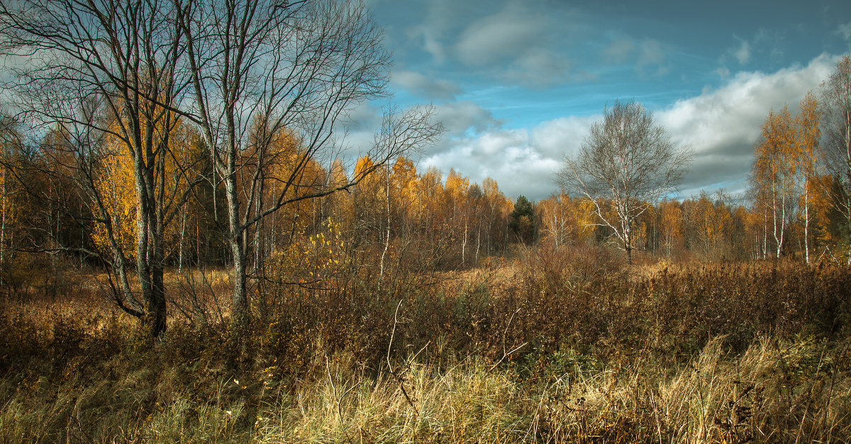 Осенний пейзаж - Андрей Гусев