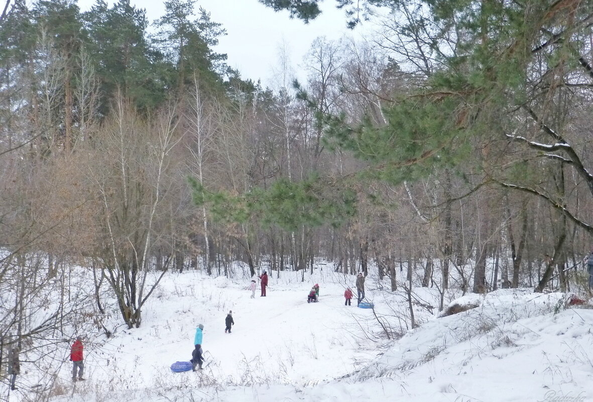 Лесные зимние радости - Raduzka (Надежда Веркина)