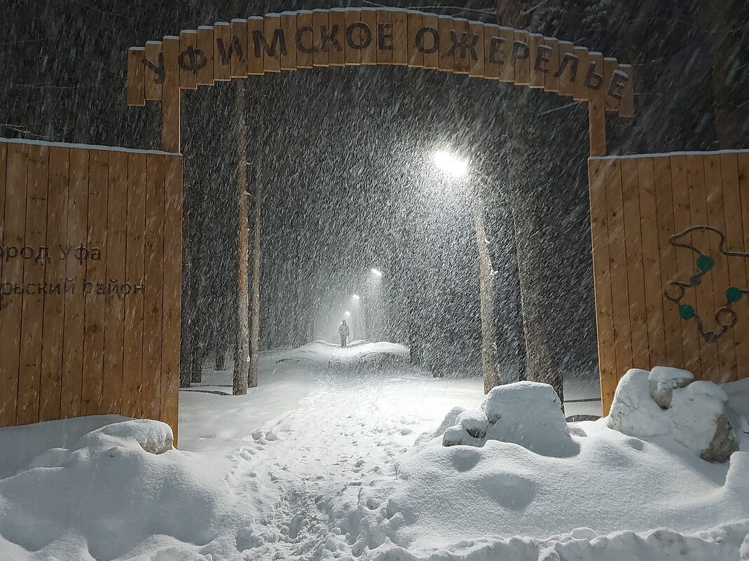 "Такого снегопада, такого снегопада..." - Николай Рубцов