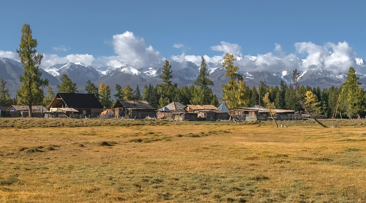 Осенний Курай - Марина Фомина.