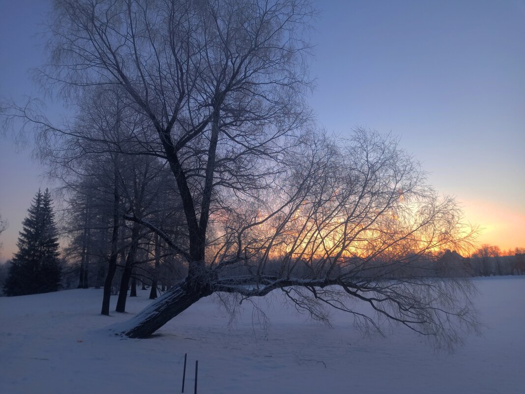 Рассвет - Сапсан 