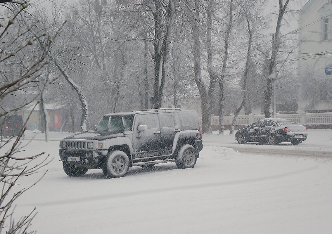 Первый снег... и это в феврале... - Роман Савоцкий