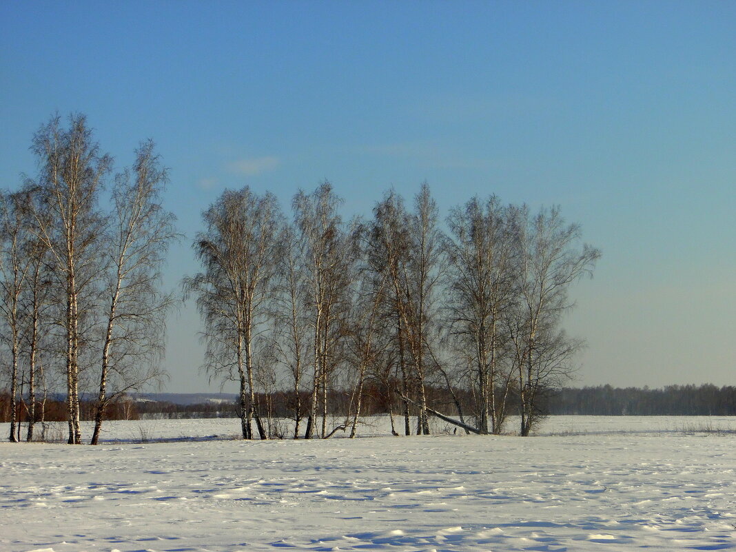 В феврале и небо голубее. - nadyasilyuk Вознюк