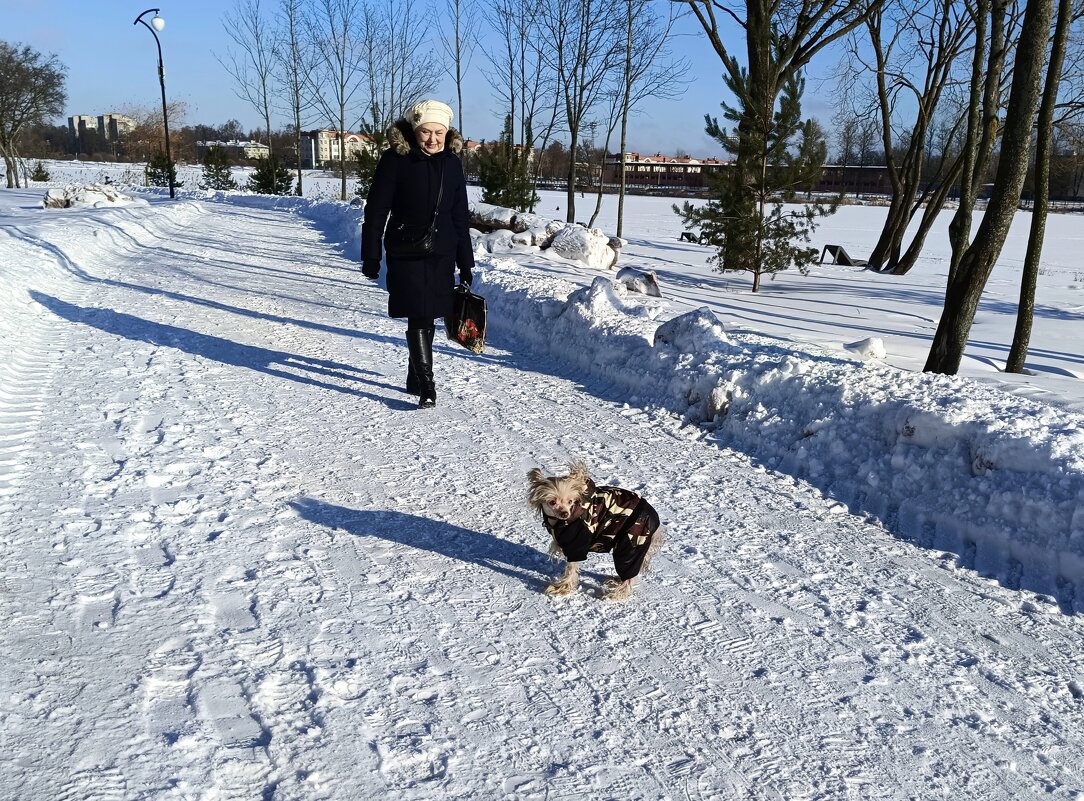 В парке в солнечный день - Мария Васильева