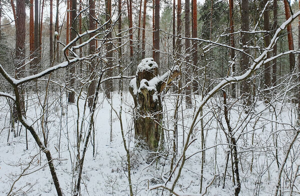 сегодняшний февраль 3 - Александр Прокудин