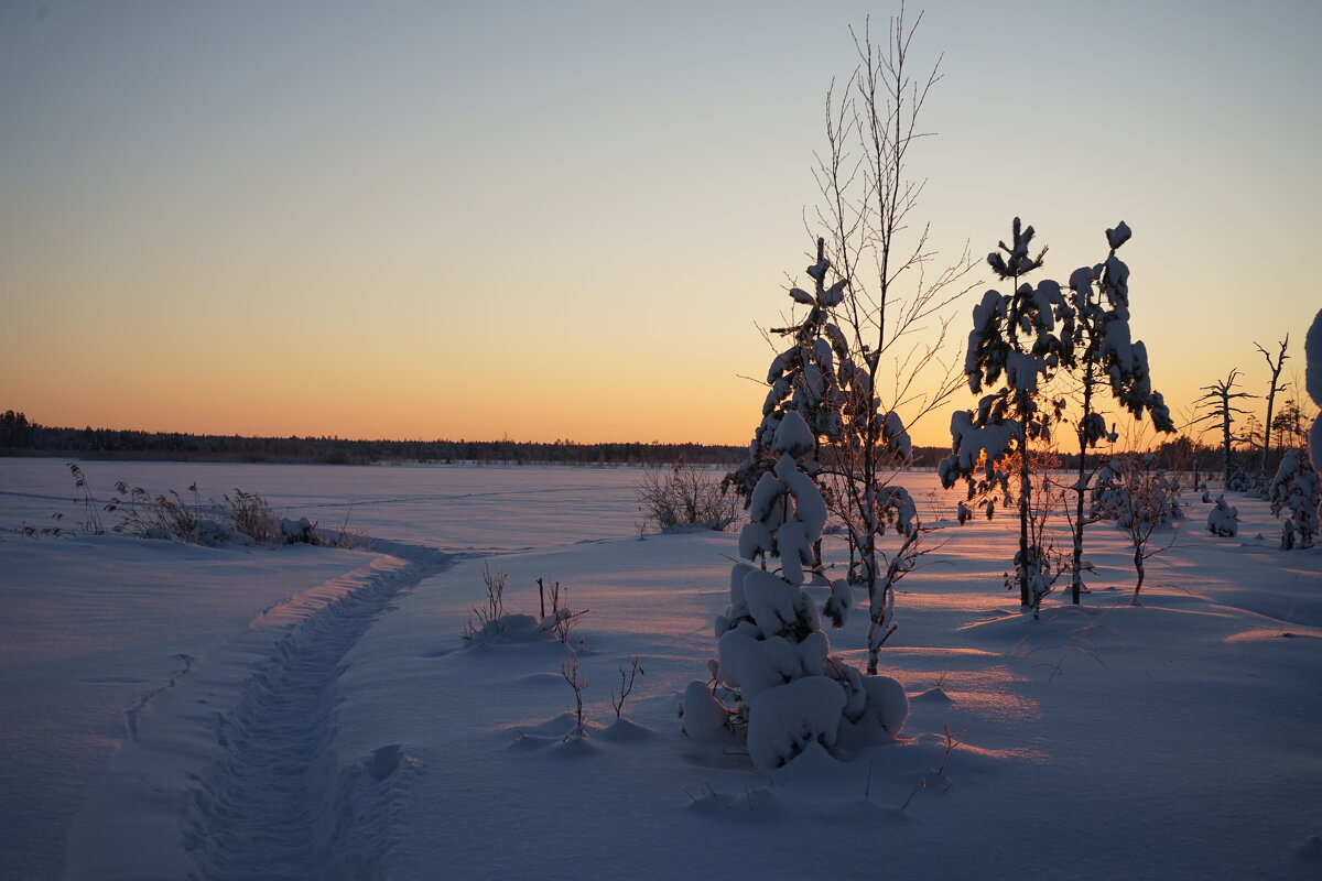 морозный пейзаж - Анастасия Софронова