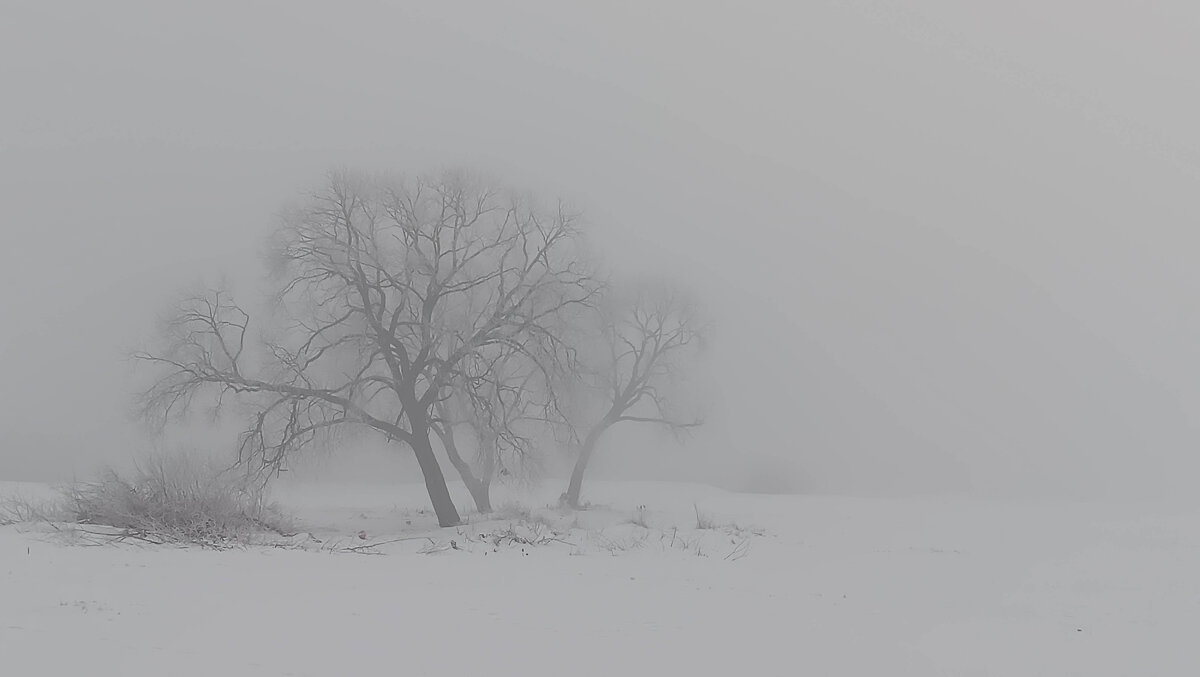 Туман в Витеске - Екатерина Счасная