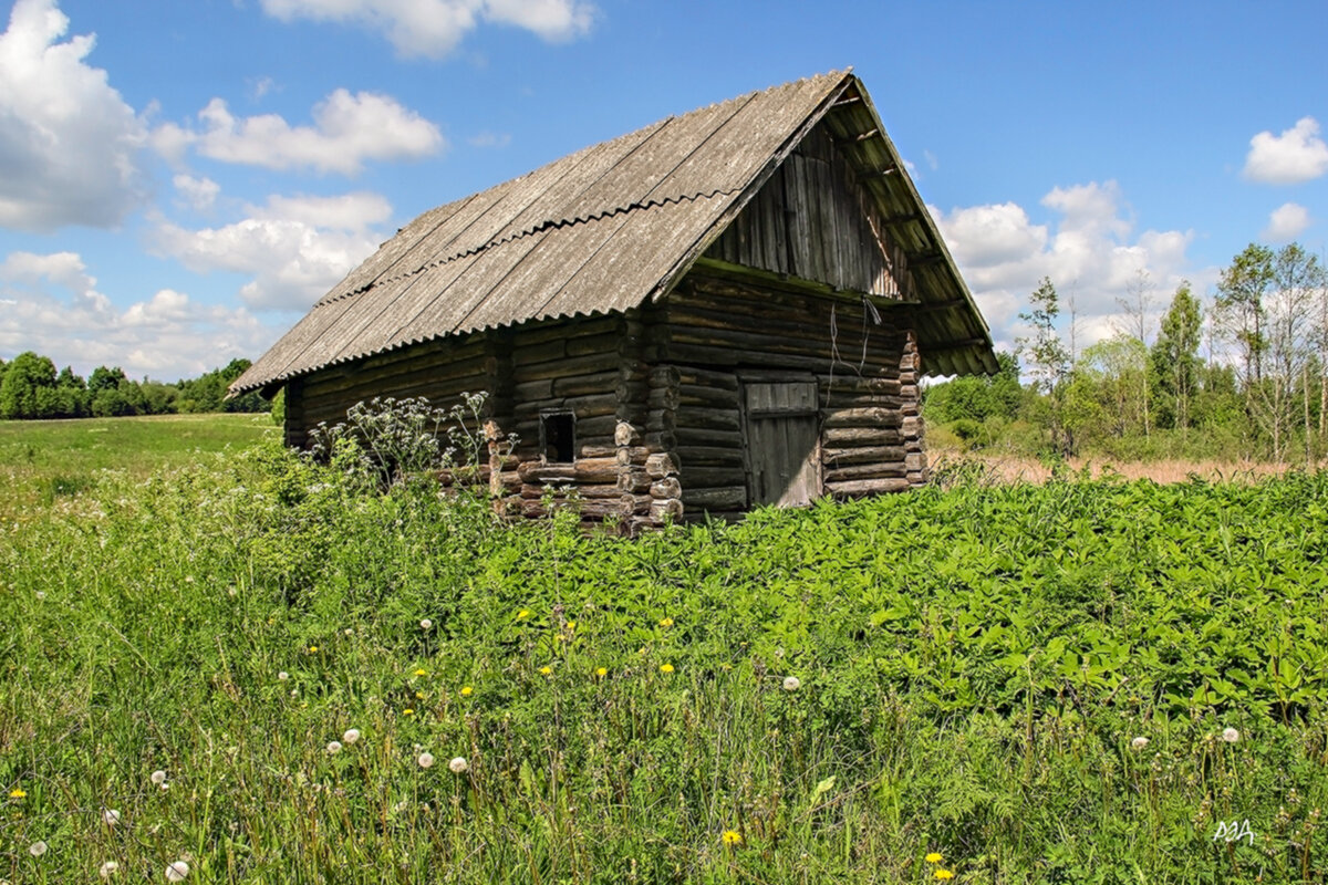 *** - Роланд Дубровский