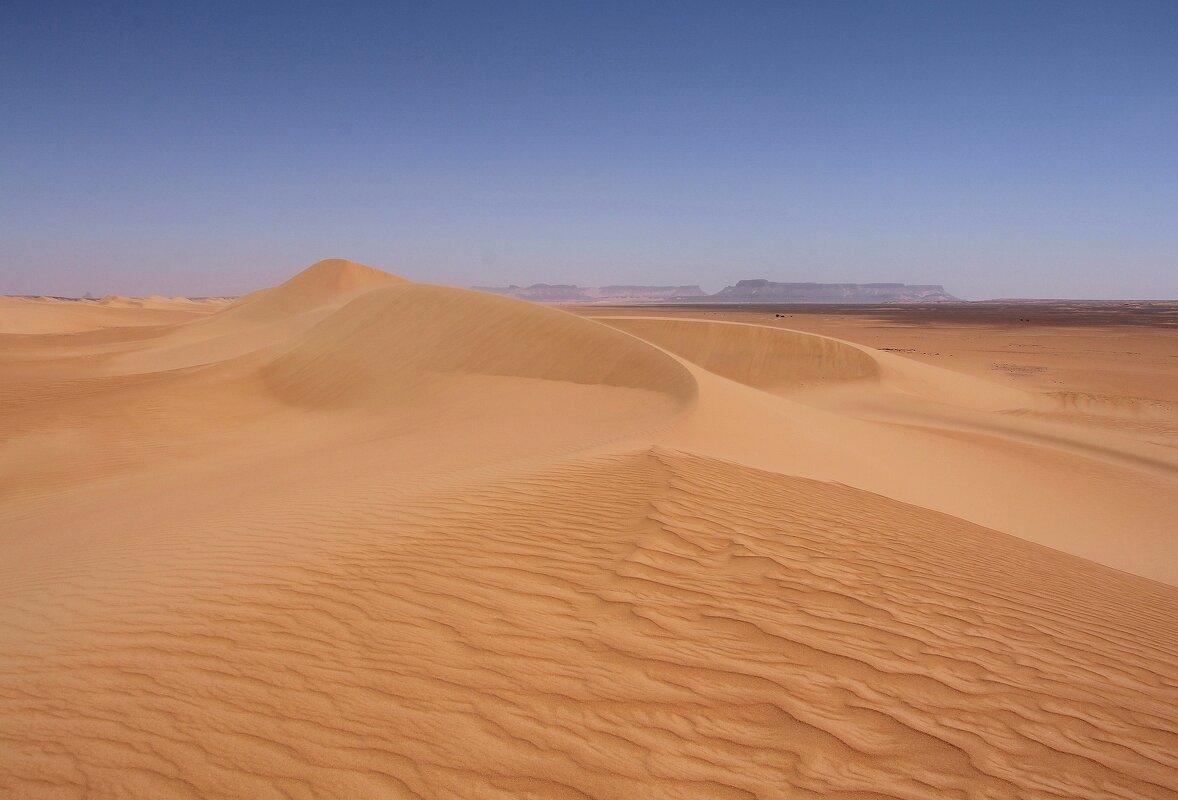 В пустыне Сахара, Чад. - unix (Илья Утропов)