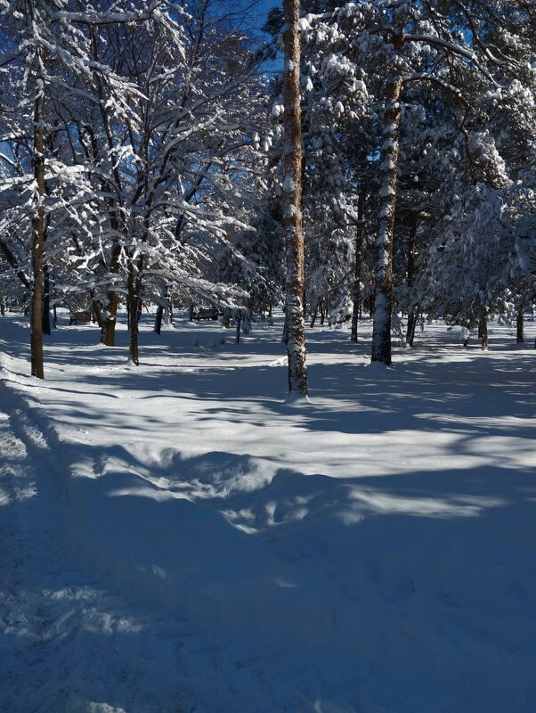 Almaty. - Murat Bukaev 