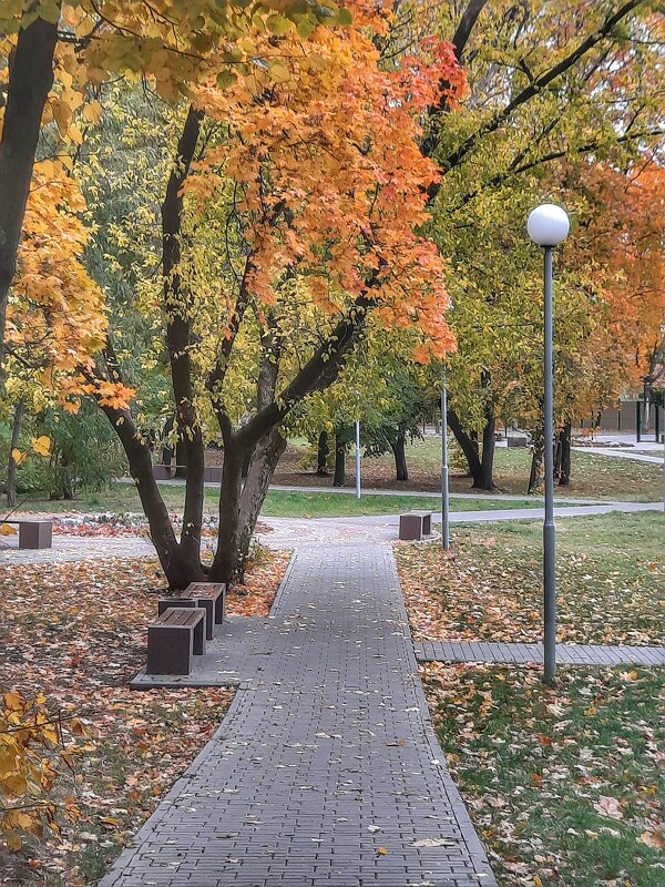Осень в парке - Irene Irene