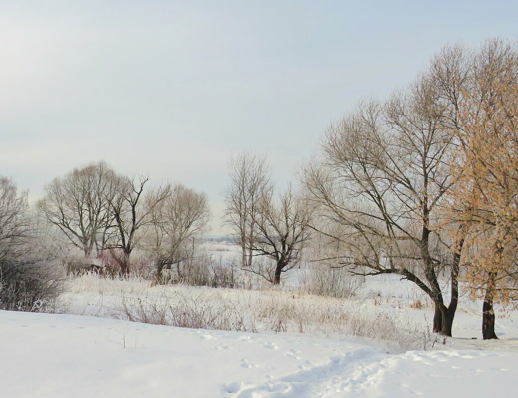 Спуск к замёрзшей реке - Андрей Снегерёв