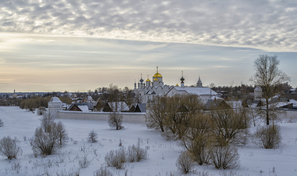 Вид на Покровский монастырь со смотровой площадки - Сергей Цветков