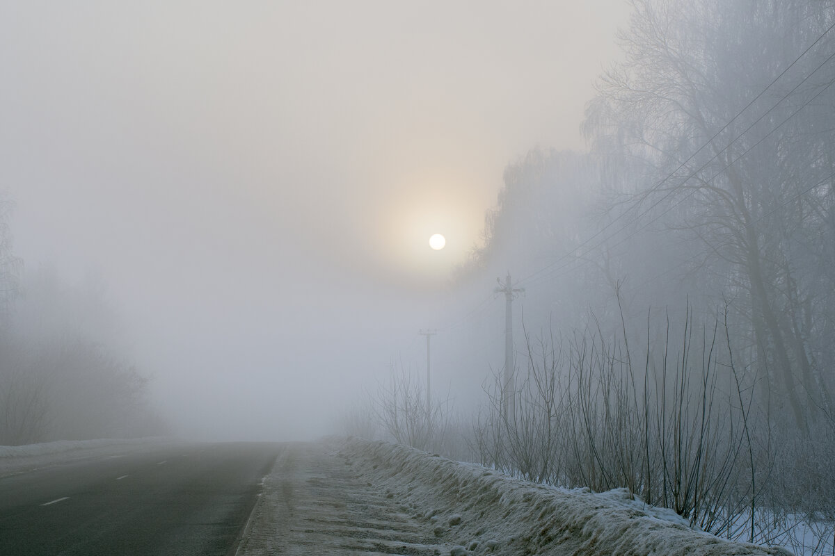 Дорога в тумане - Ирина Полунина