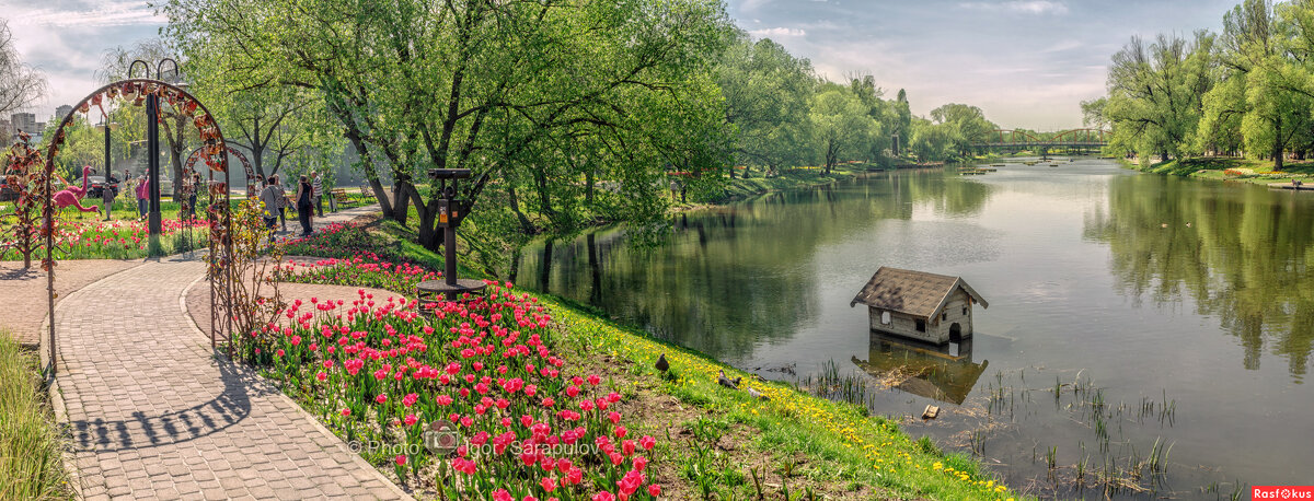 Река в цвету - Игорь Сарапулов