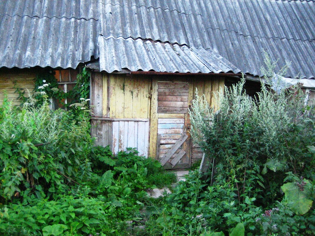 Дом Сергея Иваныча :: Артем – Социальная сеть ФотоКто