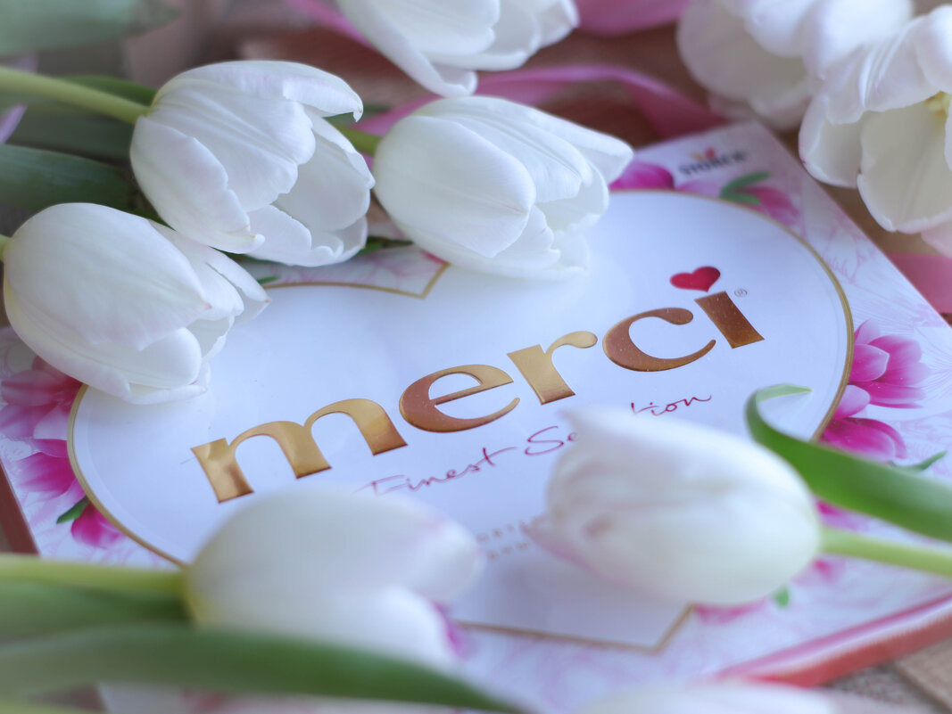 Белые тюльпаны - Irene Irene