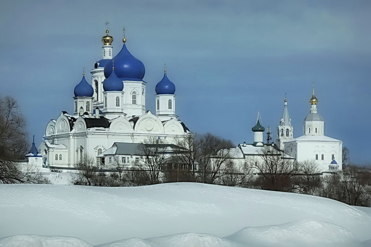 Свято-Боголюбский женский монастырь - Владимир Шошин