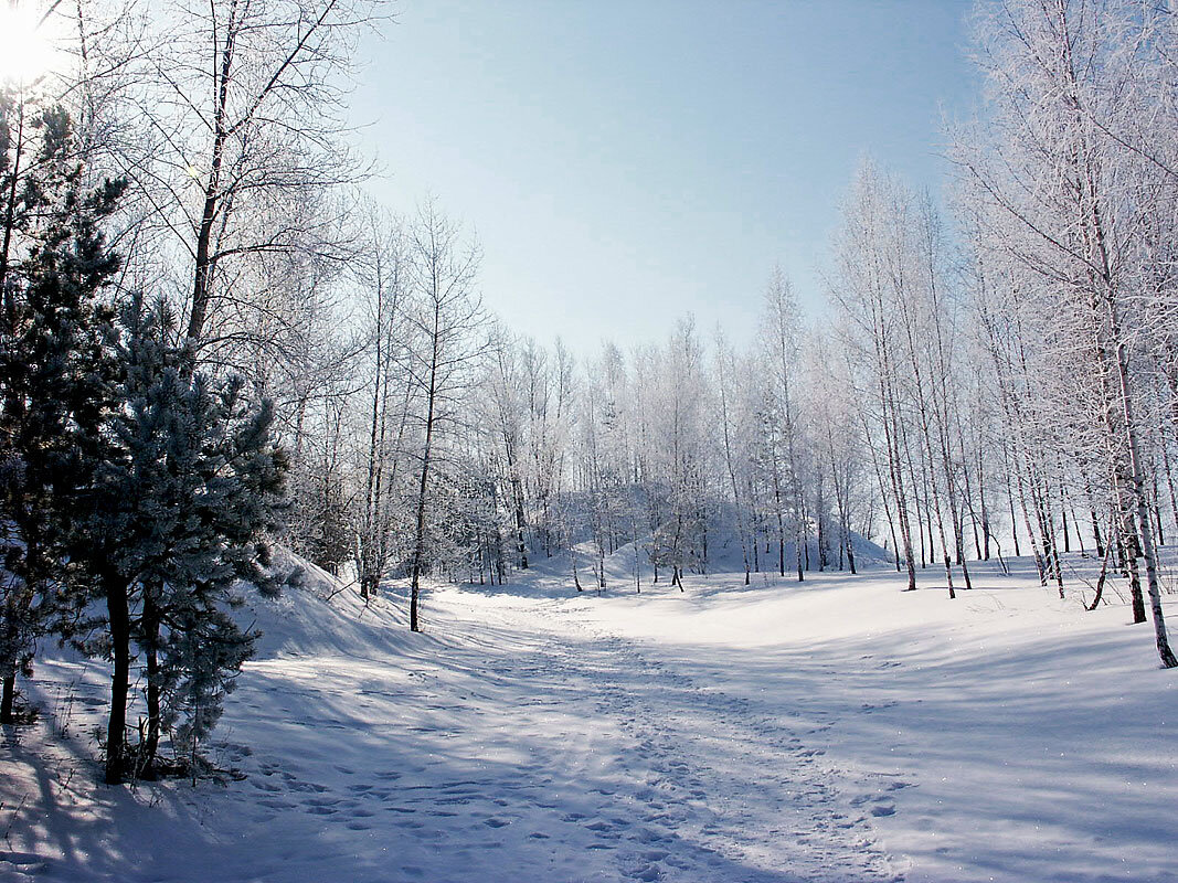 Снежная дорожка - MILAV V