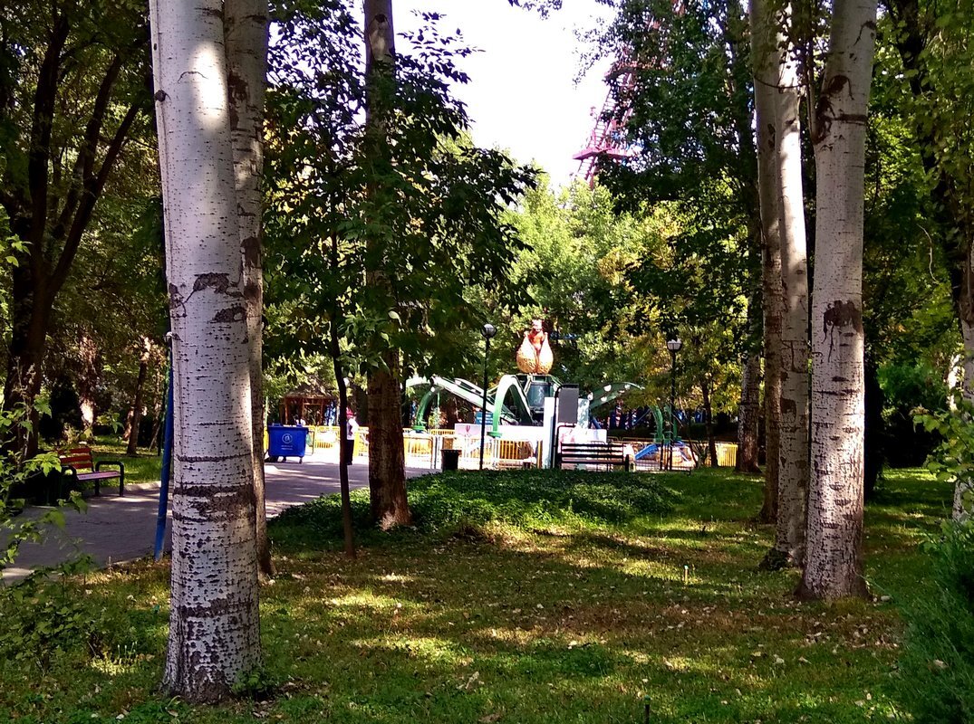 ТАШКЕНТ, парк. - Виктор Осипчук