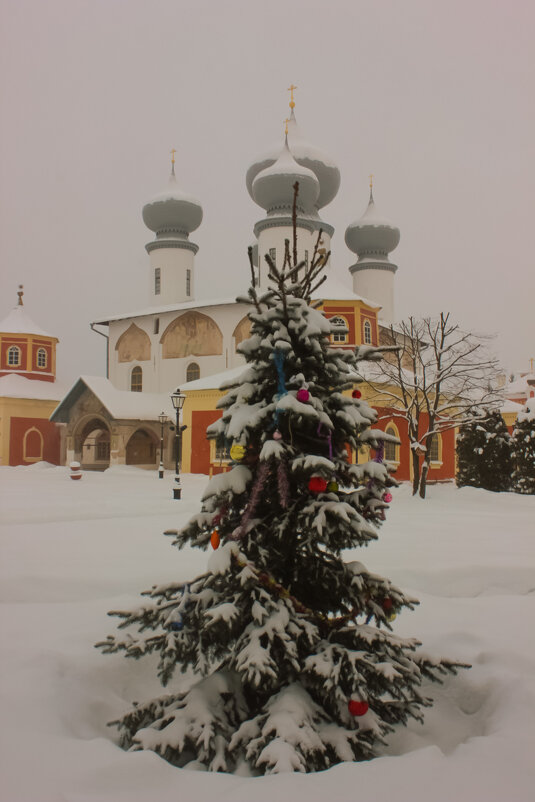 Зимний монастырь - Сергей Кочнев