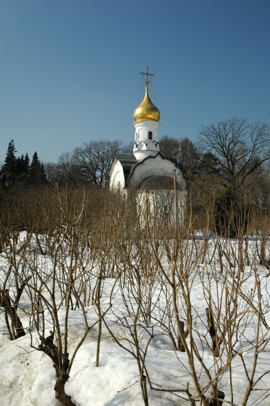 Храм-часовня святого Василия Великого - Игорь Егоров