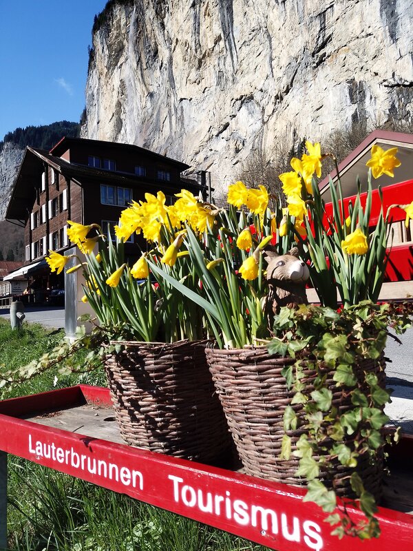 "Весеннее" пробуждение... Lauterbrunnen Wunderbares  /Schweizer/ - "The Natural World" Александер