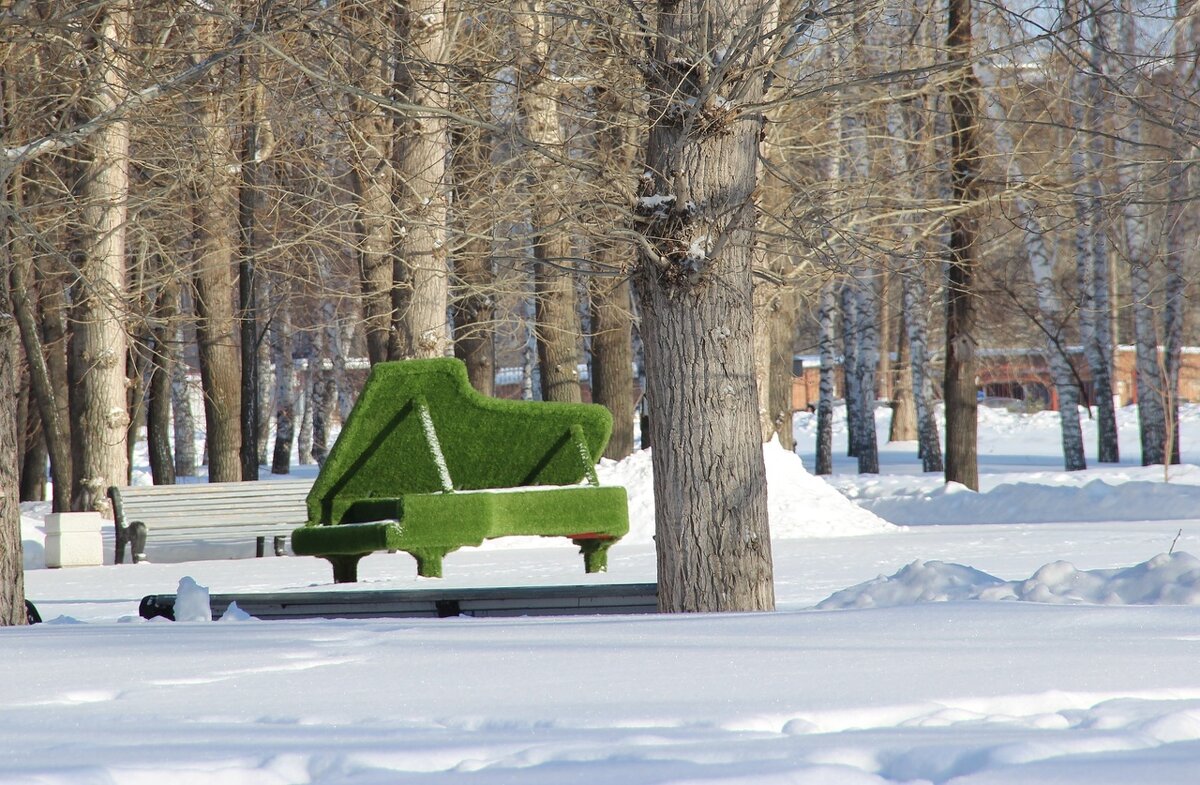 В парке. - Венера Чуйкова