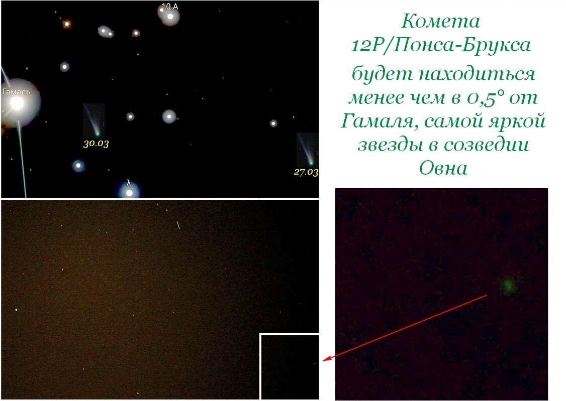 30 марта ловите комету ... - Сеня Белгородский