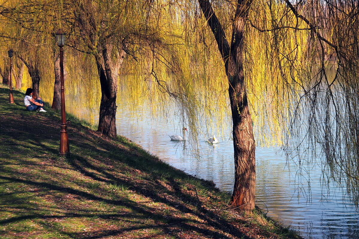 Умиротворение.. - M Marikfoto