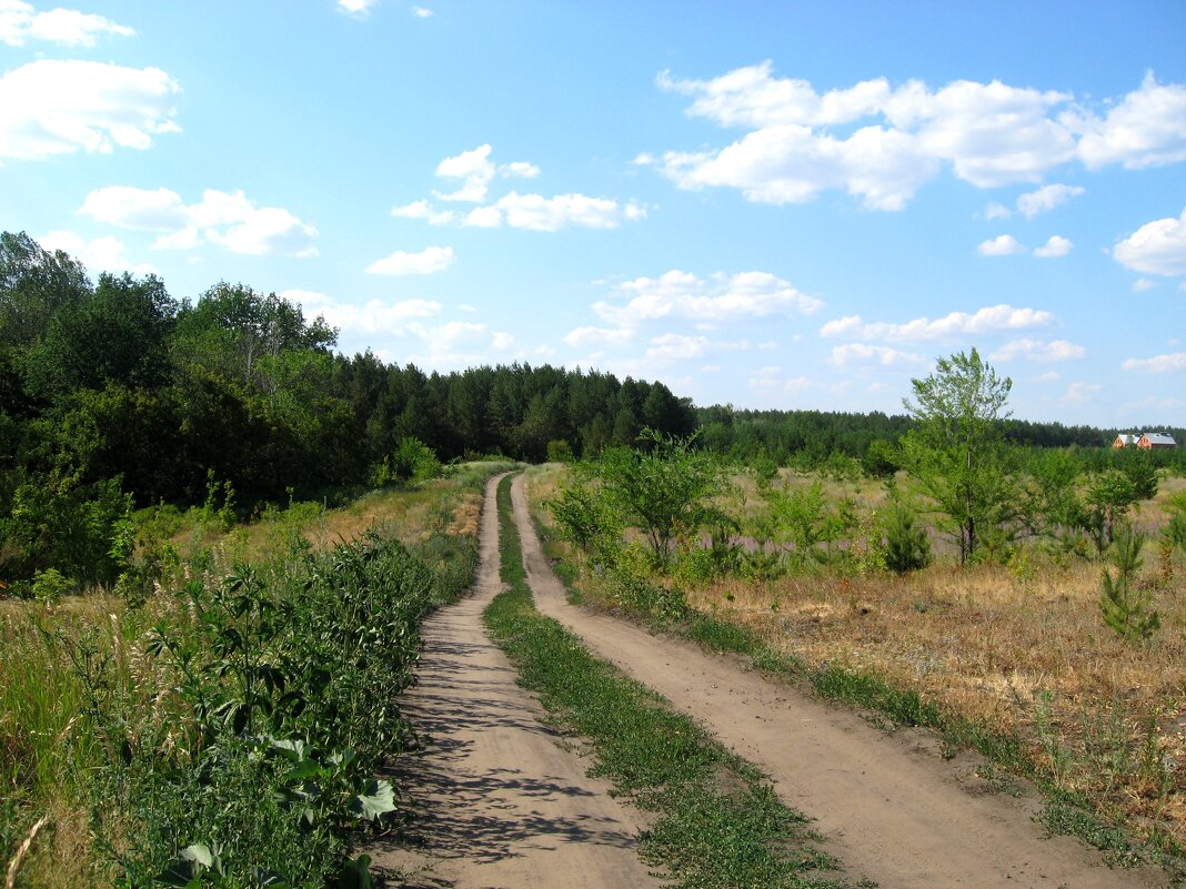 Под Самарой - Надежда 