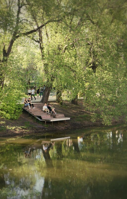 Жаркое лето в городском парке у реки - Дарья Трифанова