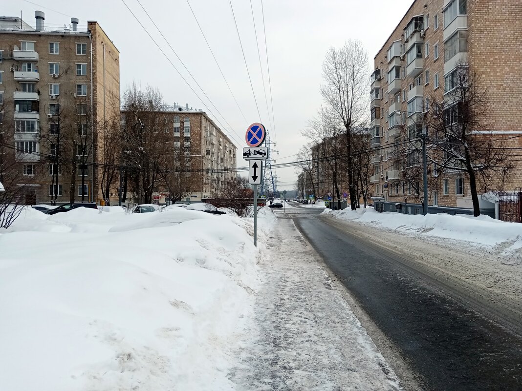 Зима в Москве. - Владимир Драгунский