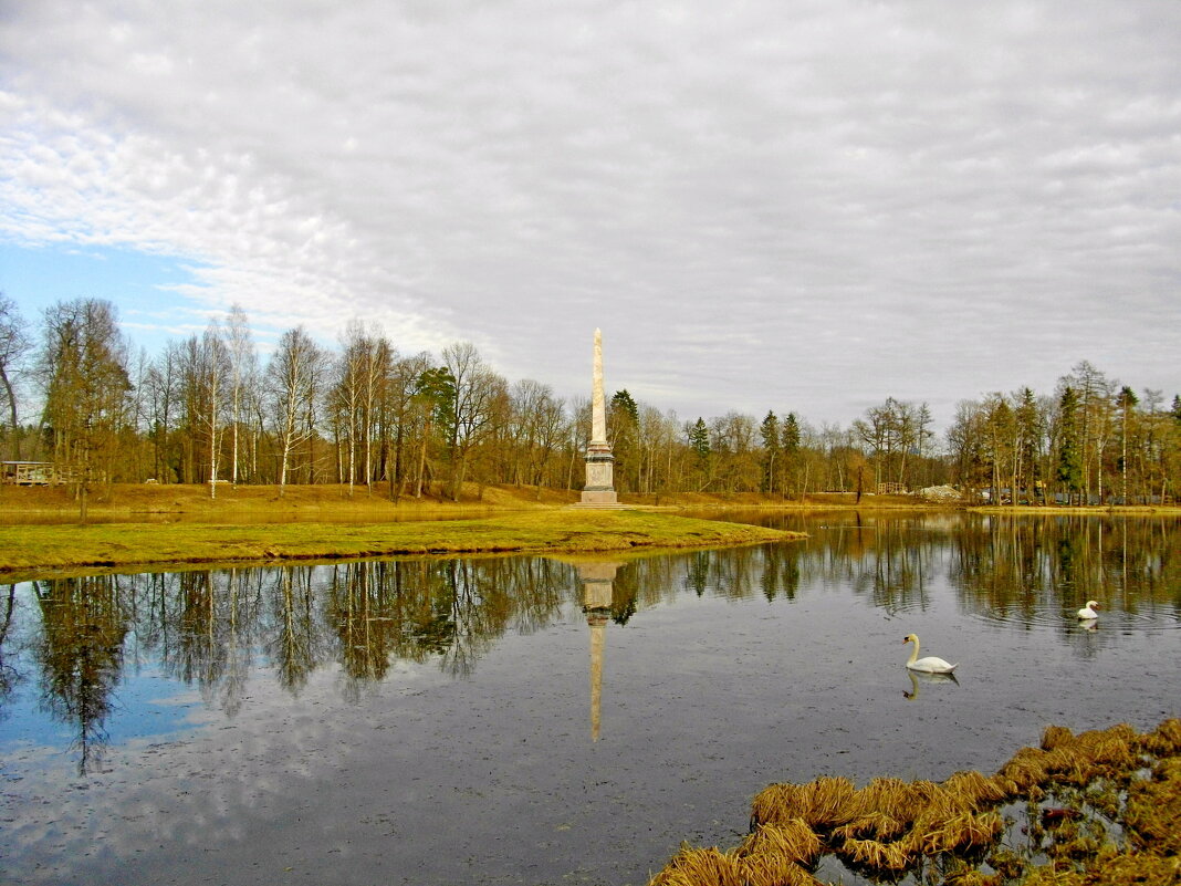 Два лебедя на озере у Чесменского обелиска. - Лия ☼