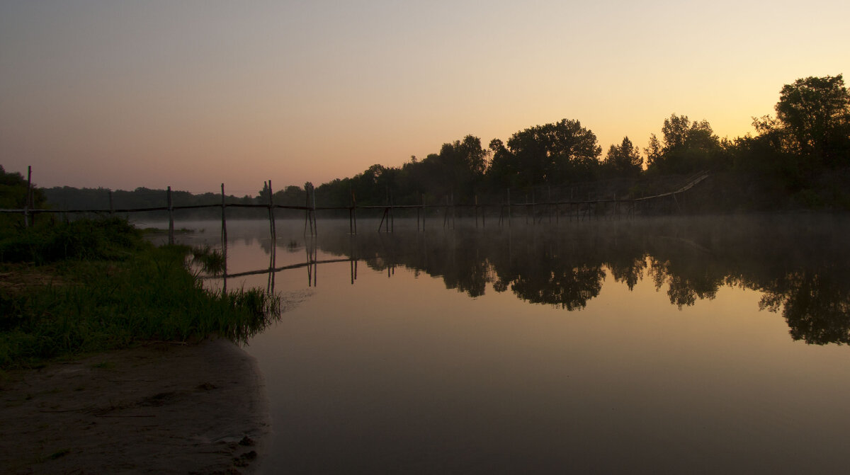 Утро доброе - Пасечник 