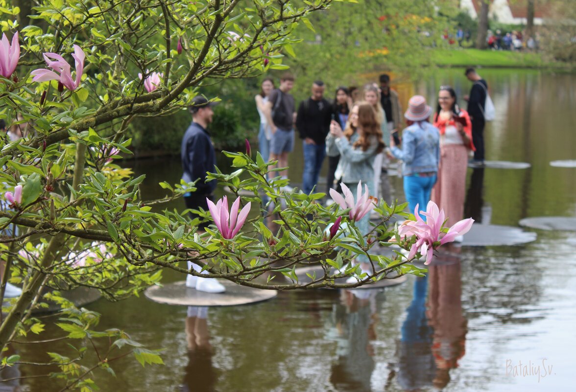 парк цветов Keukenhof - Светлана Баталий