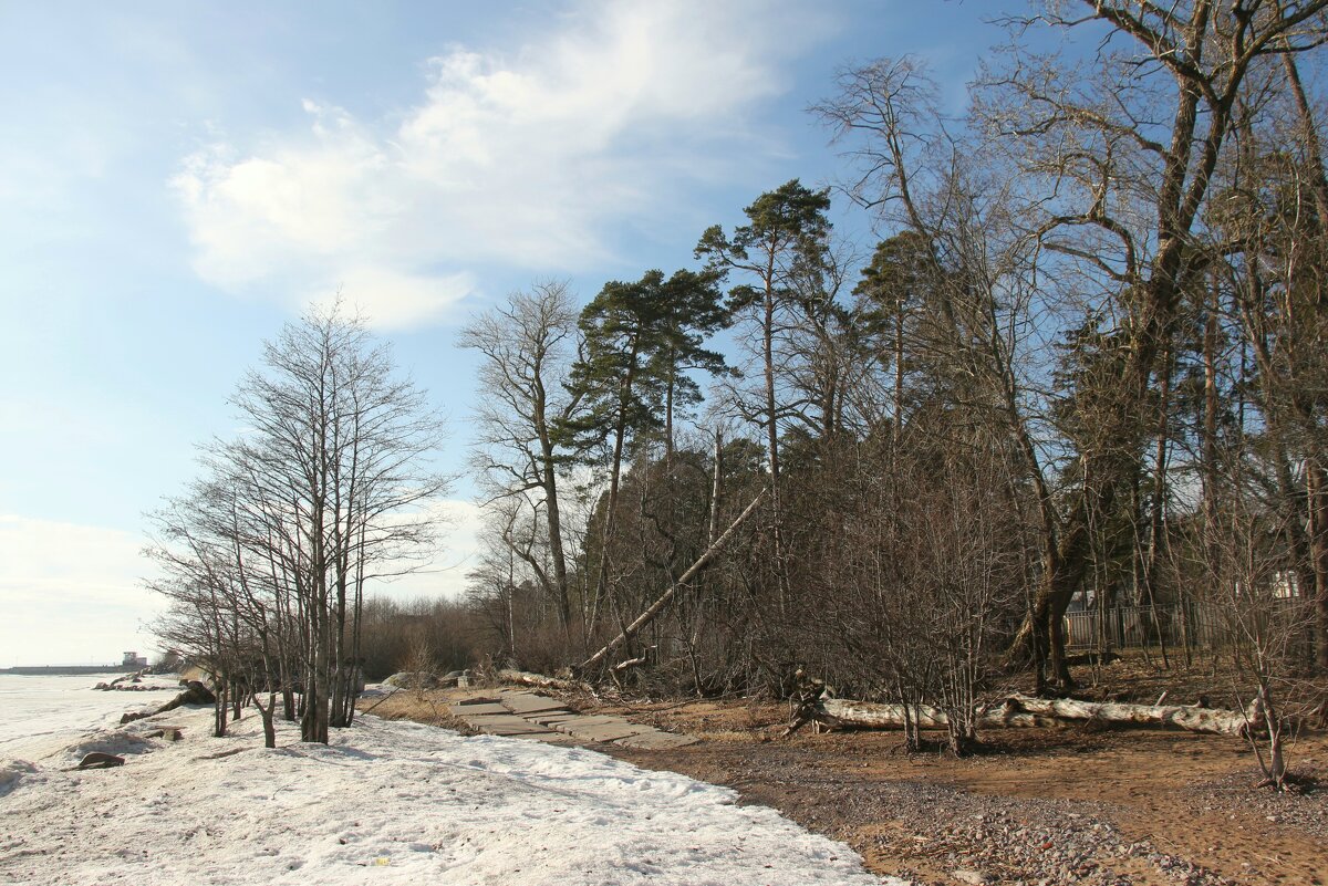 Зеленогорск. Берег Финского залива - Наталья Герасимова