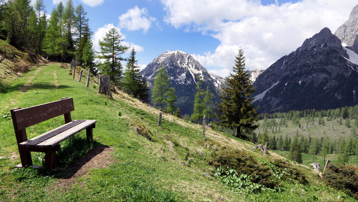 Мир Природы "The Natural World" Весеннее пробуждение, Österreich Urlaub in Ramsau am Dachs - "The Natural World" Александер