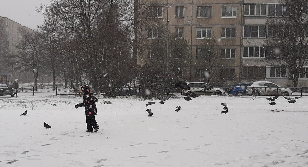 Зимняя весна - Наталья Герасимова