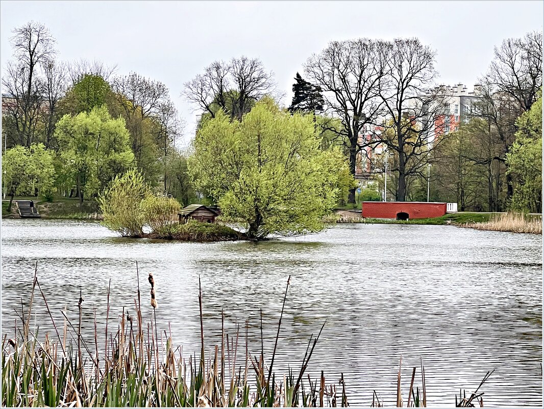 Весна на озере Летнем. - Валерия Комова
