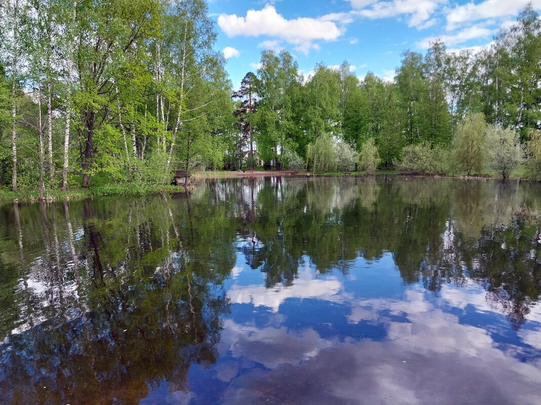 Пейзаж на озере лебединка (г.Выкса) - Tarka 