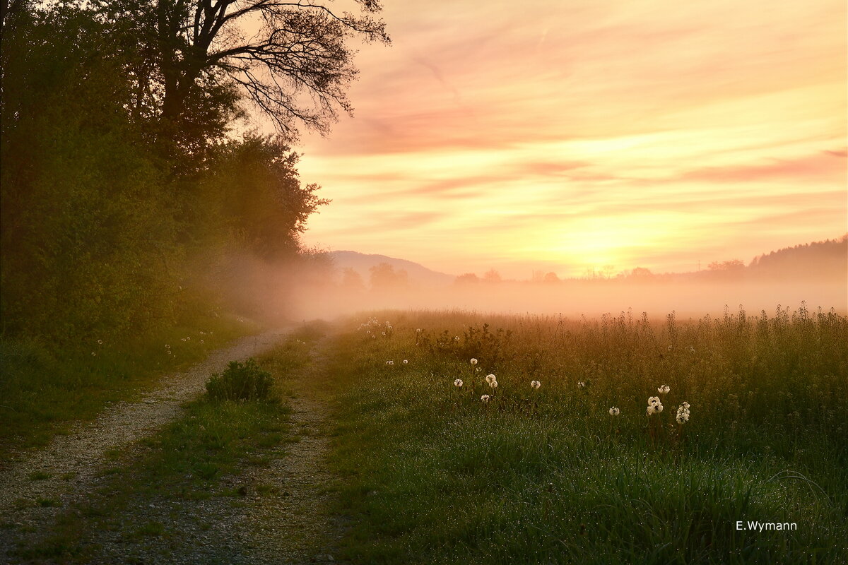 misty sunrise - Elena Wymann