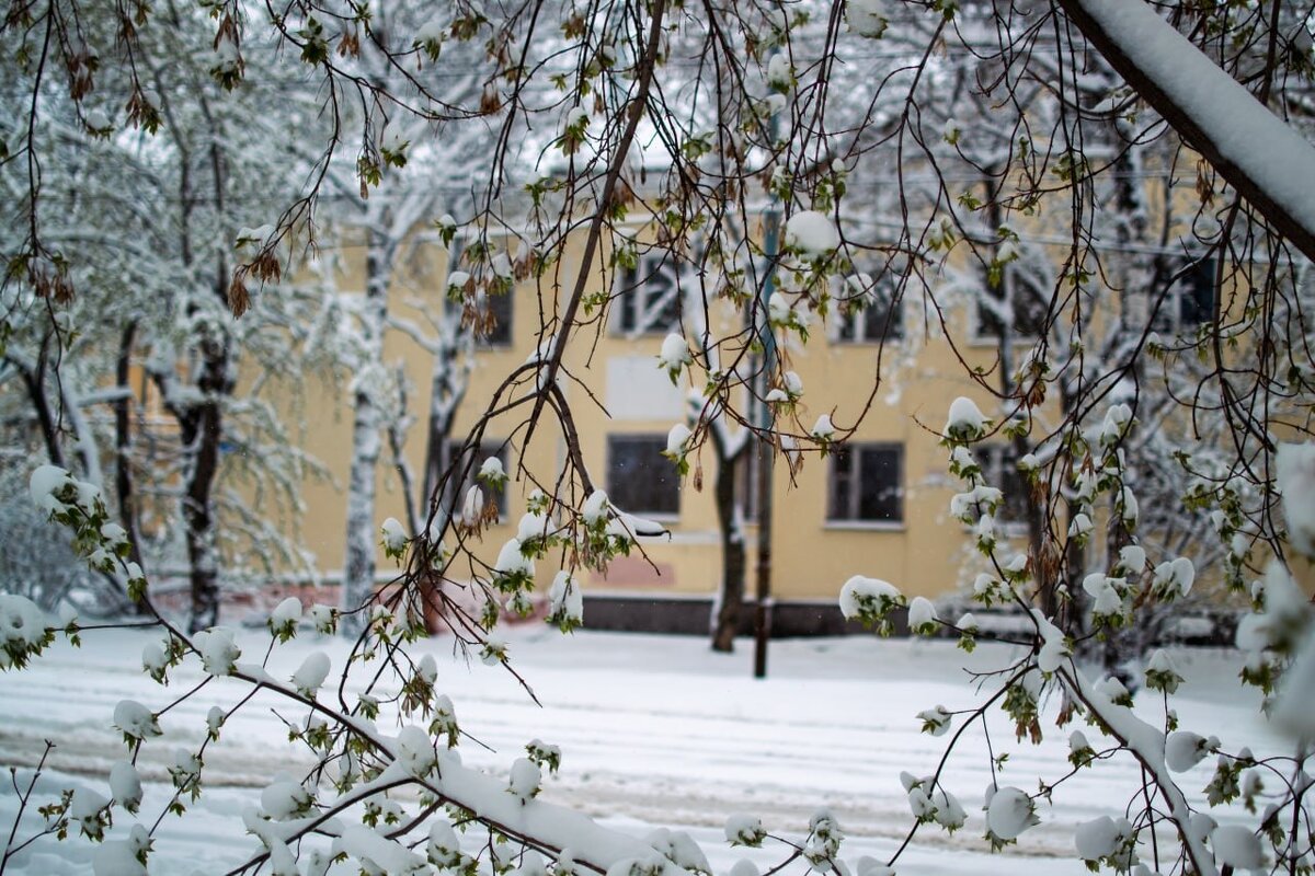 Весенний снег - Владимир M