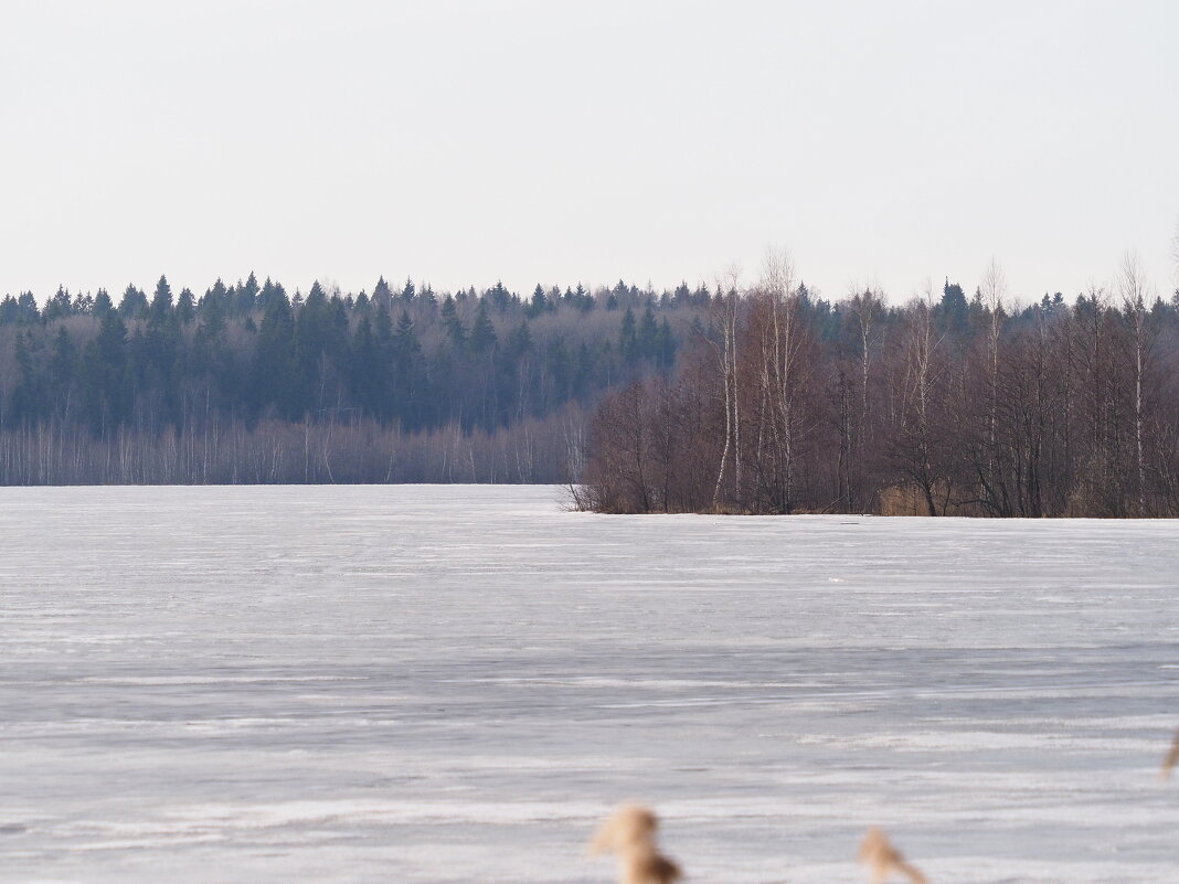 Ранневесенний пейзаж с замёрзшим озером. - Евгений Седов