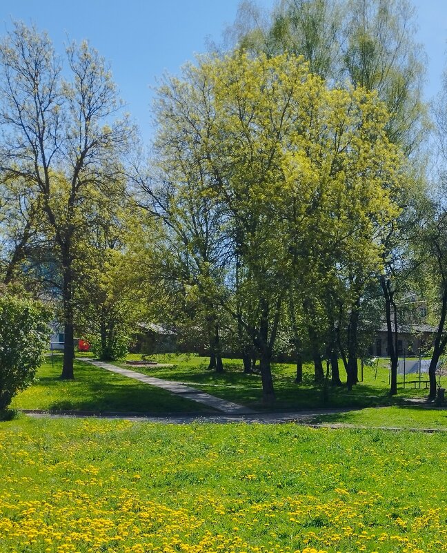 Весна в городе. - Александр Сапунов