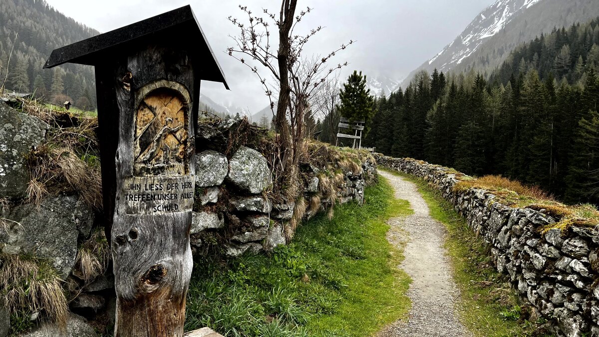 Italien Südtirol./Parco Naturale Vedrette di Ries-Aurina/ - "The Natural World" Александер
