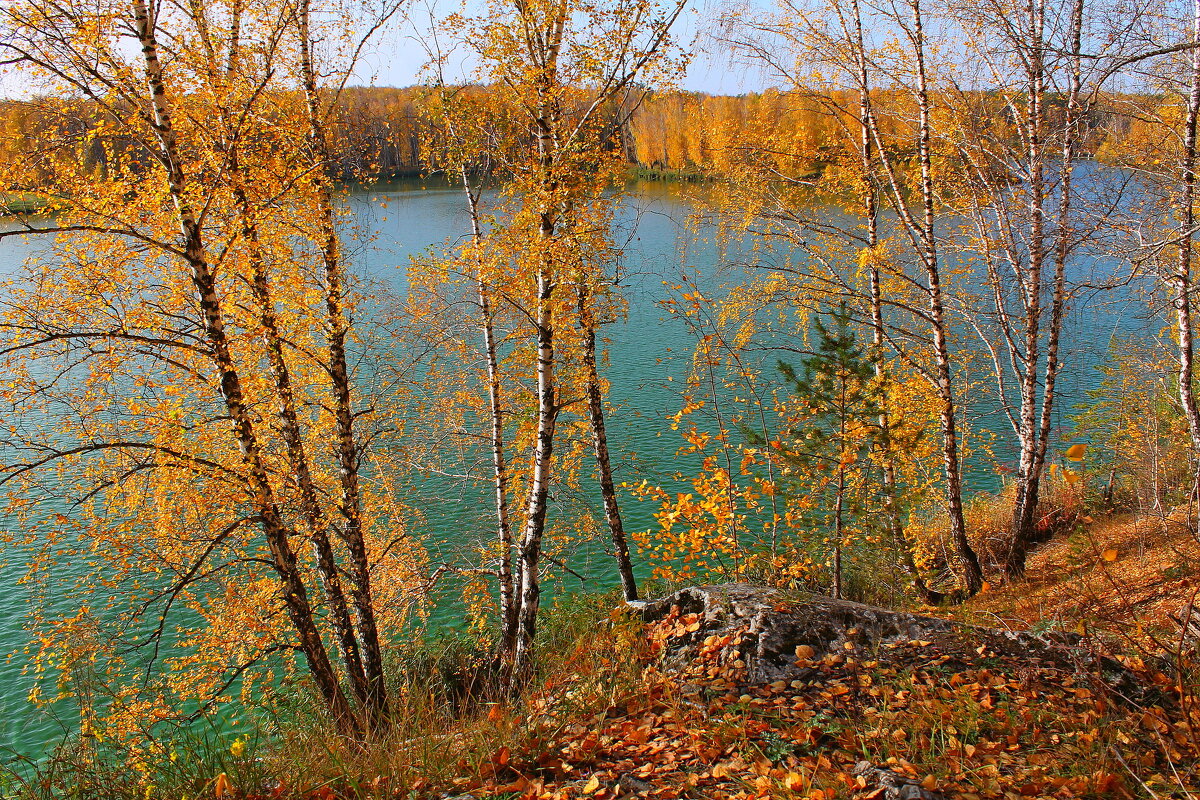 Осень - tamara kremleva