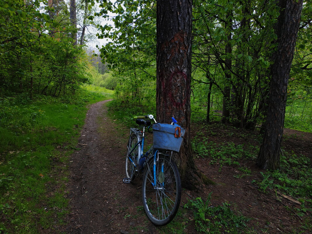Я буду долго гнать велосипед - Андрей Лукьянов